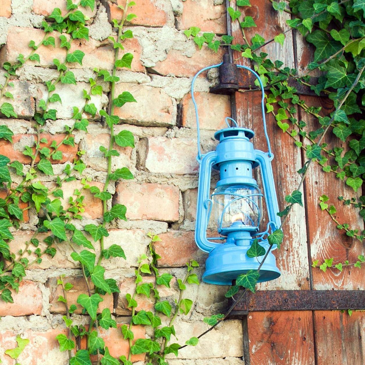 Outdoor Kerosene Fuel Lantern, German Made Weather Resistant Baby Special 276 Galvanized Hurricane Lamp for Camping or Patio, 10 Inches, Bronze