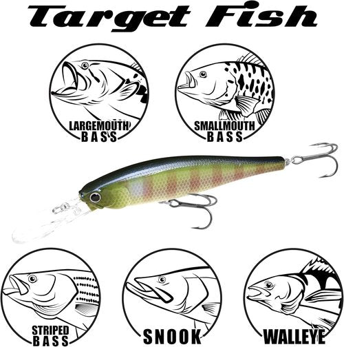 LUCKY CRAFT Pointer 100DD Fishing Lures for Freshwater, 4" Deep Diving and Suspending Jerkbait, Trout, Bass Lures, Tournament Winning, Premium Fishing Gear and Tackle Box Accessories