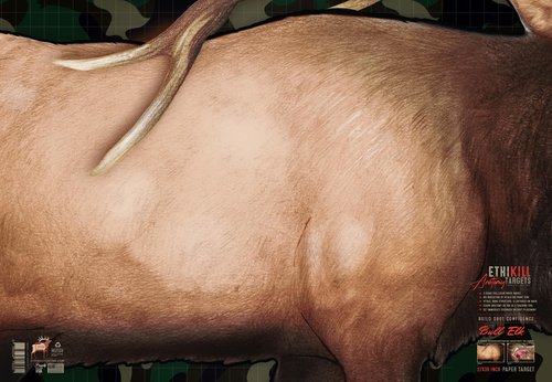 Elk Target 2-Sided Paper Range Targets (3pack) 27" x 39" for Archery & Rifle Hunters | Realistic Educational Anatomy Illustration by EthiKill…