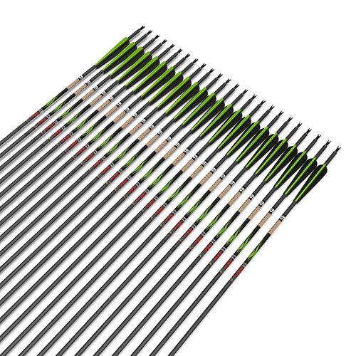 sanlida 24 PCs, 100% Pure Carbon, 0.003'' Straightness, Dragon 9 Flagship 24T Carbon Hunting Arrows for Compound Bow, Professional Standard Hunting Arrows with Removable Tips (350 Spine)