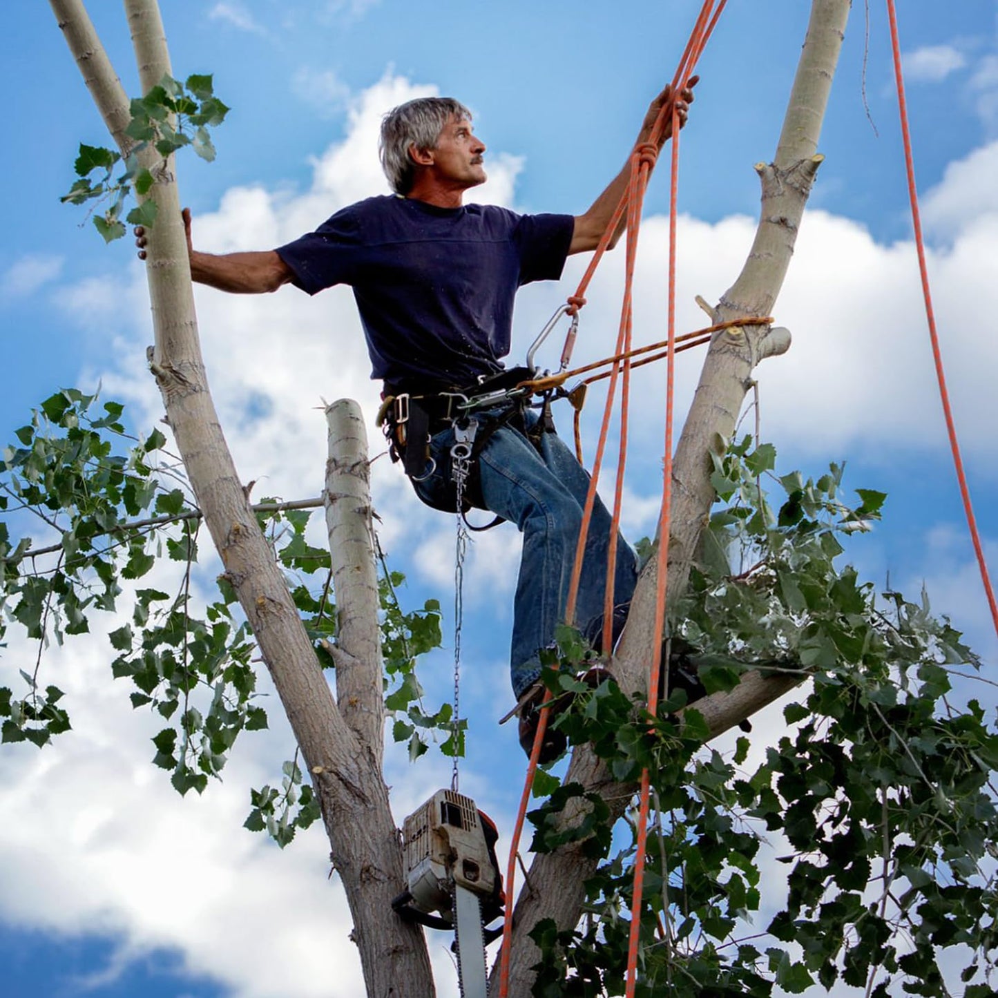 Gdsinstna Tree Climbing Spikes, Tree Climbing Gear Set, Tree Climbing Equipment with Adjustable Climbing Straps and Steel Core Flip Line, Rock Climbing Kit with Triple Lock Lanyard Adjuster