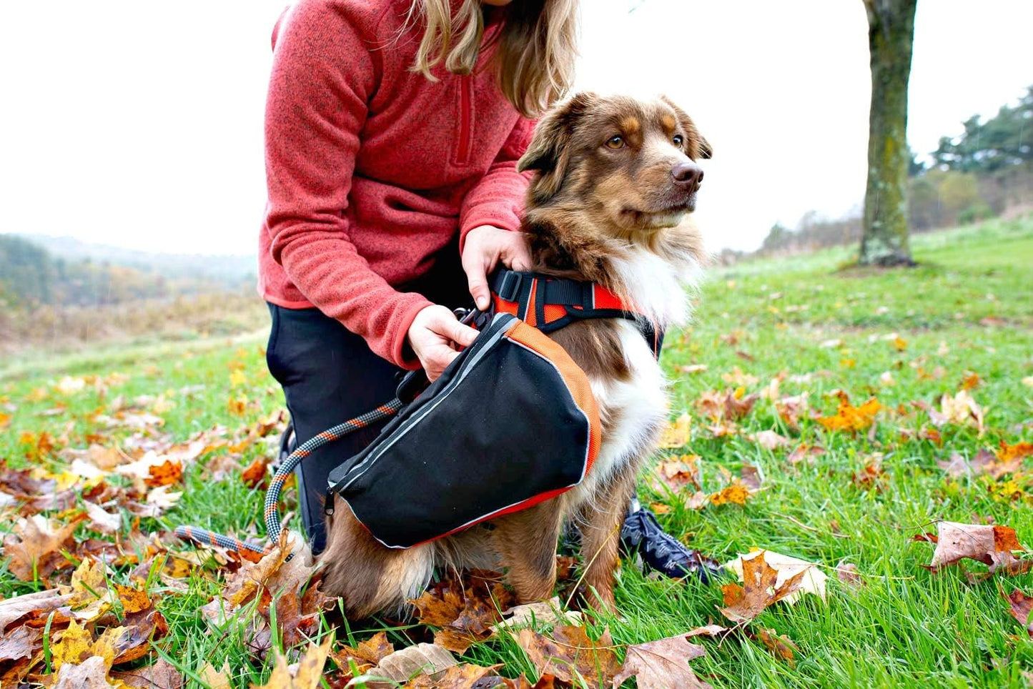 Adventure Pack, Black/Orange, Medium