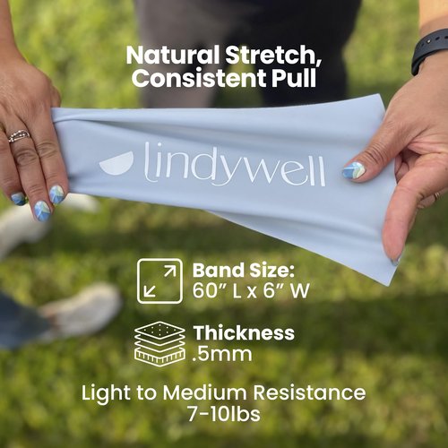 Lindywell Ultimate Exercise Bands - Resistance Bands for Working Out Men & Women, Achieve Toned Glutes, Build Strength & Physical Therapy, Durable & Non-Slip Design to Enhance Physical Workout
