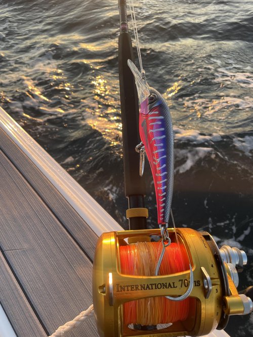 Nomad Design DTX Minnow 200 Heavy Duty SNK 8 Saltwater Fishing Lure with Autotune - Deep Diving Minnow Lure Ideal for Tuna, Wahoo & Mackerel, Trolls 12+ Knots-Wahooligan