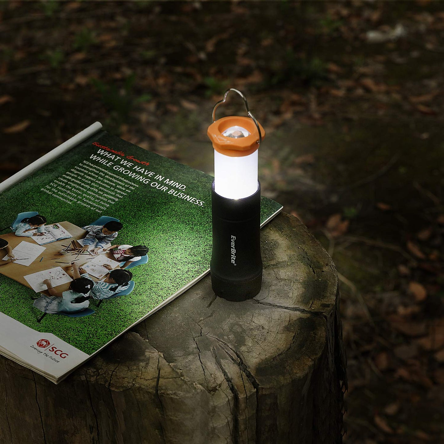 EverBrite 2-in-1 Mini Lanterns and LED UV&White Light Flashlight