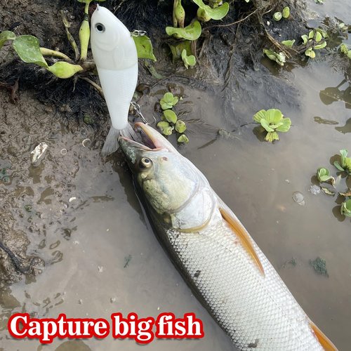 HADORAM Lure Slow Sinking Glide Bait with Fur Tail Lifelike Fishing Tackle for Trout Shad Bass Musky (Color White)