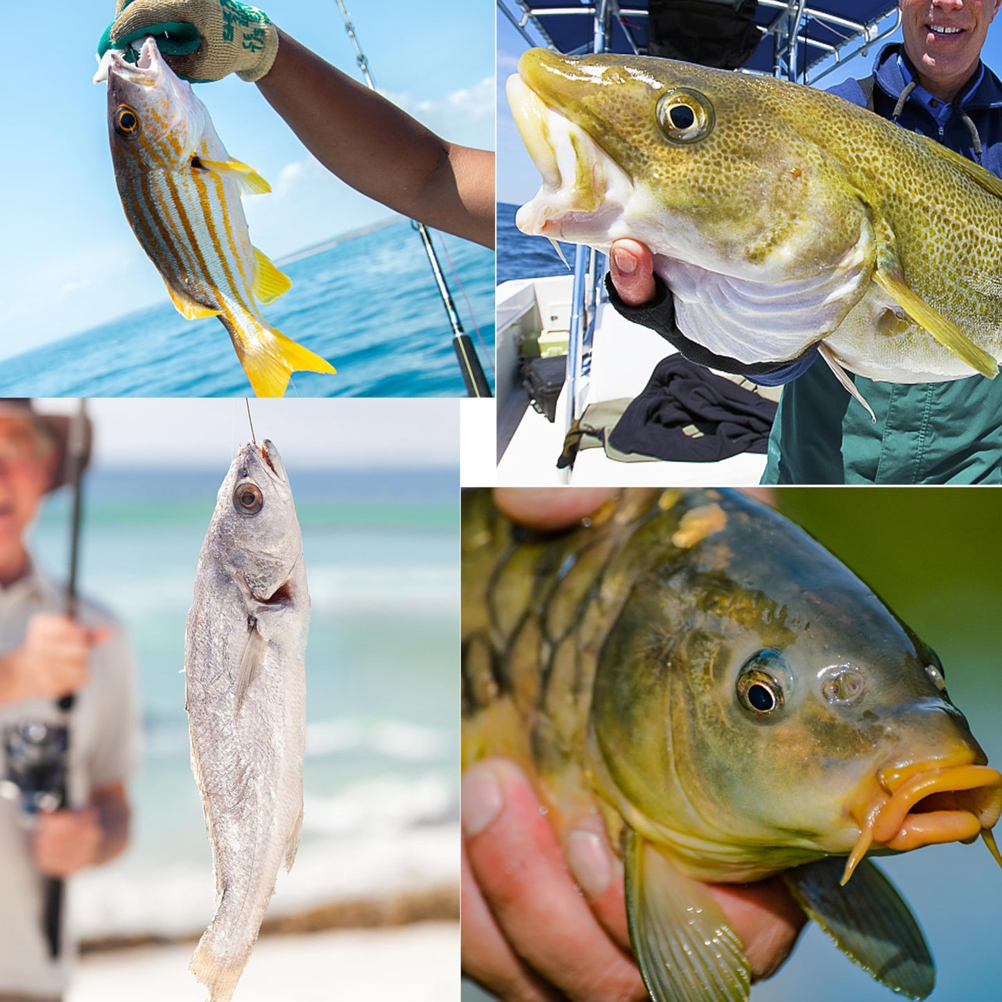 Fishing Weights Sinkers Bank Sinkers Bullet Weights for Surf Fishing Pier Bank Fishing Saltwater Fishing Gear 1oz to 8oz