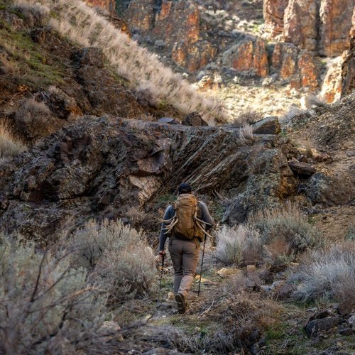 Eberlestock Freefall 2000 Pack, Tactical Backpack for Missions and Law Enforcement, Heavy Duty Outdoor Bag, 32L Volume, Coyote Brown