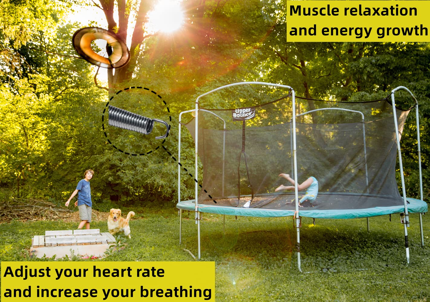 Eurmax USA 20-Pack Trampoline Springs, Premium Galvanized Stainless Steel Replacement Springs with T-Hook, Rust-Resistant & High-Tension for Maximum Safety and Bounce, Superior Strength and Durability