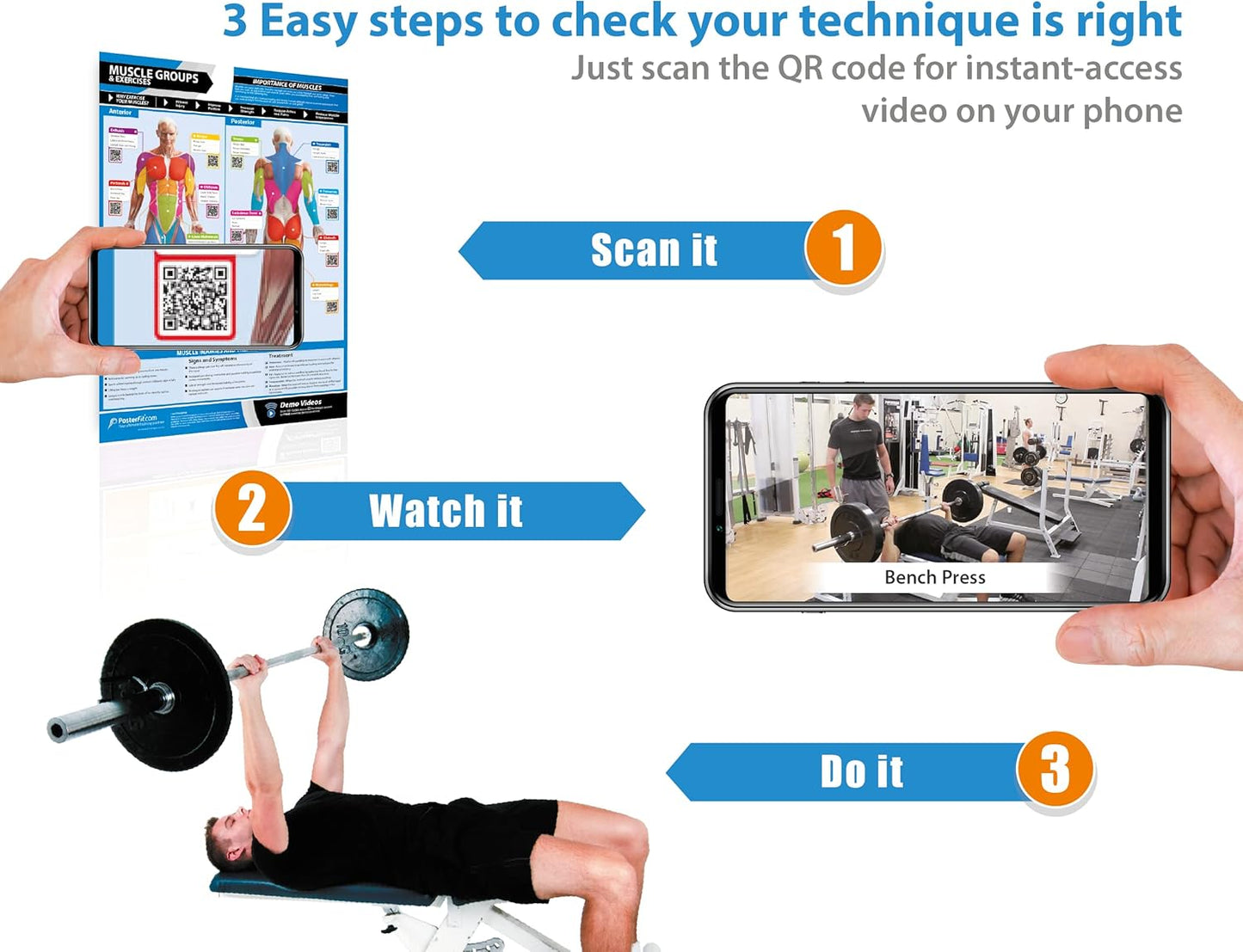 EXTRA LARGE Muscle Groups Workout Poster 33" x 23.5" - Laminated Gym & Home Fitness Chart with Video Support