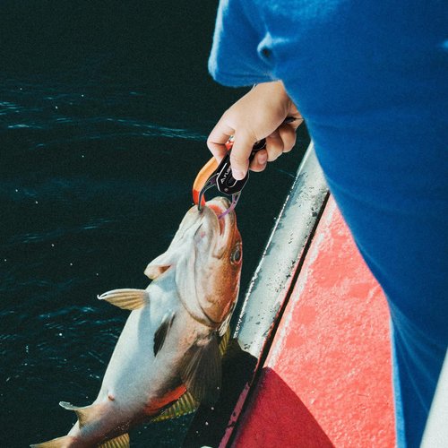 FLISSA 5" Mini Fish Gripper, 22 Pound Fish Lip Grip Tool with Carabiner and Spring Anti-Lost Rope, Durable Stainless Steel Fish Grabber Gripper, Corrosion Resistant & Portable