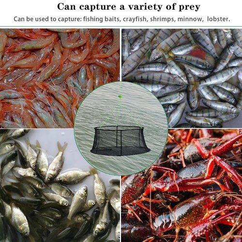 Drasry Fishing Net Trap for Bait Minnow Shrimp Crayfish Foldable Fish Crawdad Lobsters Cast Net Collapsible (33.5 * 39.4 in(85 * 100 CM))