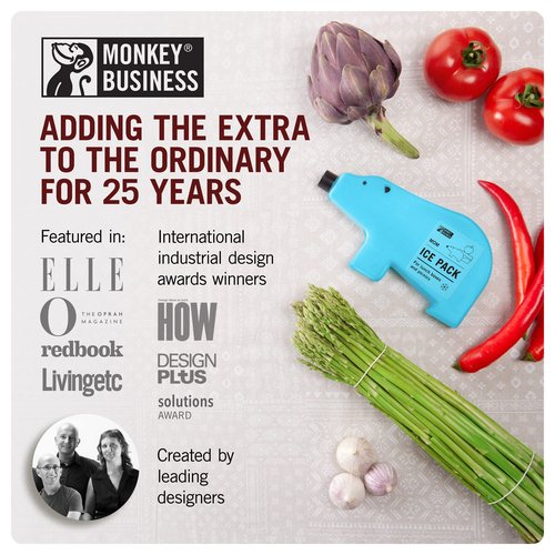Monkey Business Kids Reusable Ice Packs Perfect For Lunch Boxes. Fun, Slim Freezer Packs Your Kids Will Love (Pack of 4)