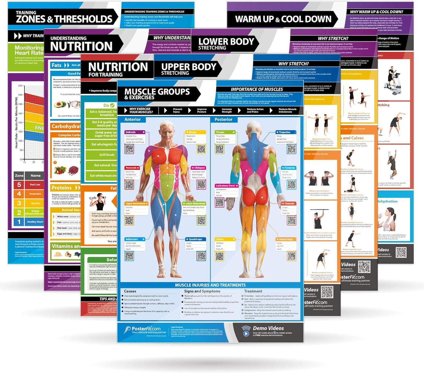 Posterfit Training Zones & Thresholds Poster - EXTRA LARGE - 33 x 23.5 - Laminated - Home & Gym Poster - Includes Online Video Training Support - Exercise Charts