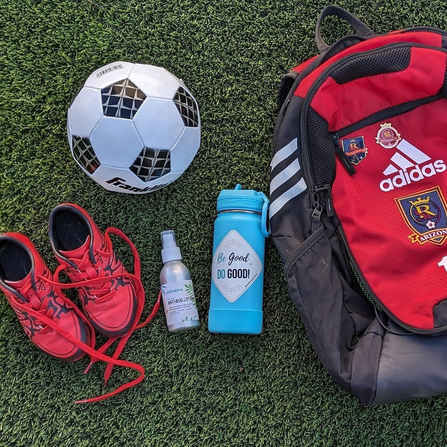 Anti-Bug Spray DEET-Free – Organic, All-Natural Bug Spray Travel Size with Essential Oils – Non-Toxic, Reef Safe, Face-Safe Bug Repellent for Babies, Kids, Adults by Mambino Organics, 4oz