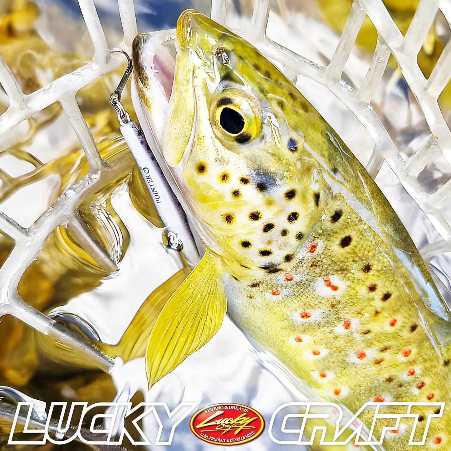 LUCKY CRAFT Pointer 48DD Fishing Lures for Freshwater, 2” Deep-Diving Suspending Jerkbait, Trout and Bass Lures, 3–4ft Depth, Precision Freshwater Fishing Gear and Accessories for Tackle Box