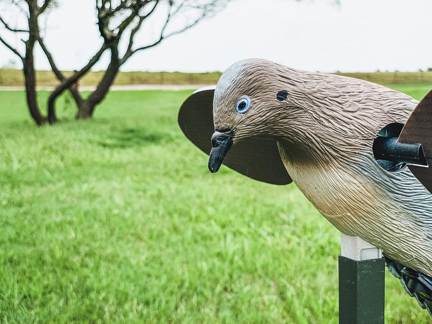 MOJO Outdoors Dove Hunting Decoys and Accessories – (Choose Style)
