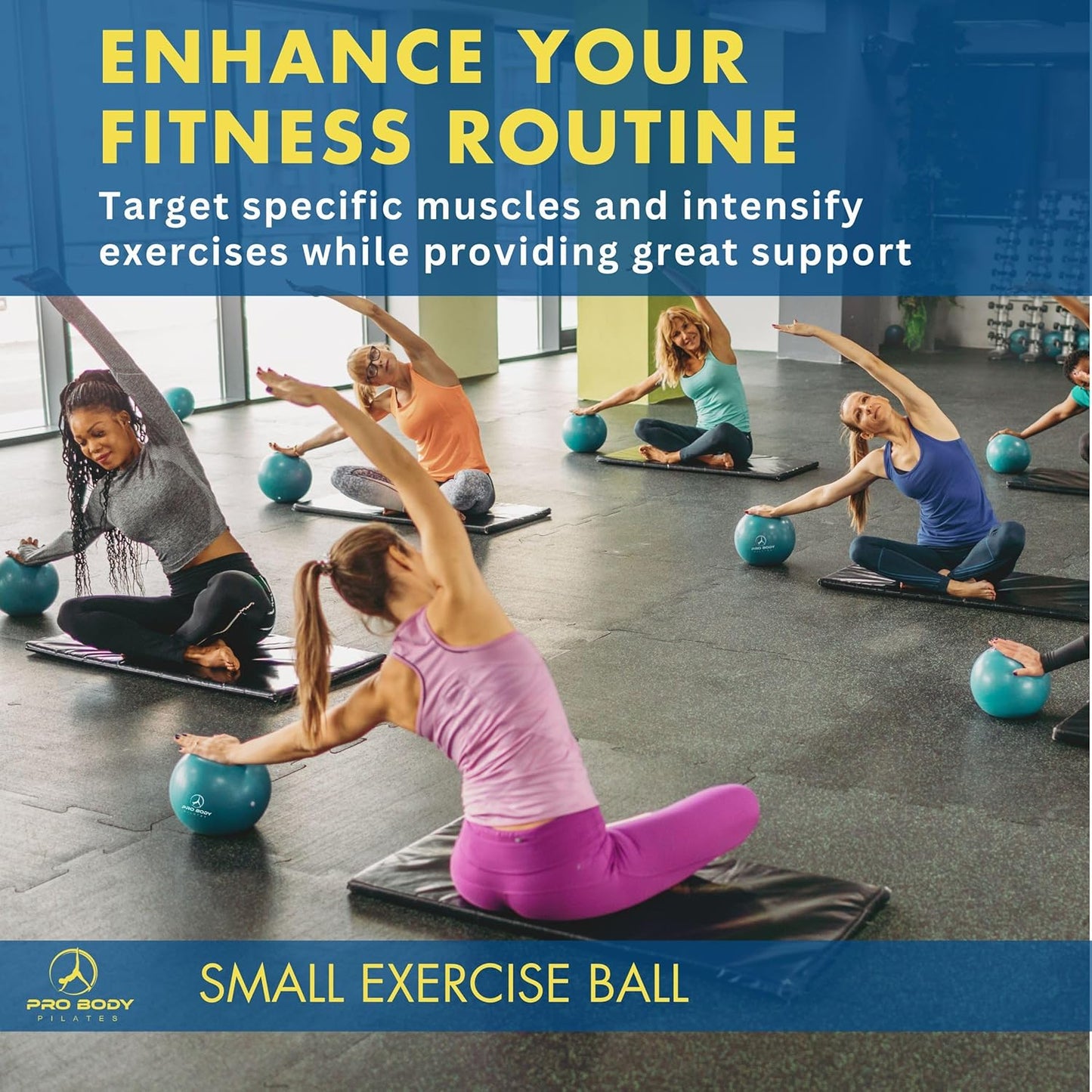 ProBody Pilates Small Exercise Ball - 9 Inch Workout Ball for Stability, Barre, Yoga, Core & Physical Therapy