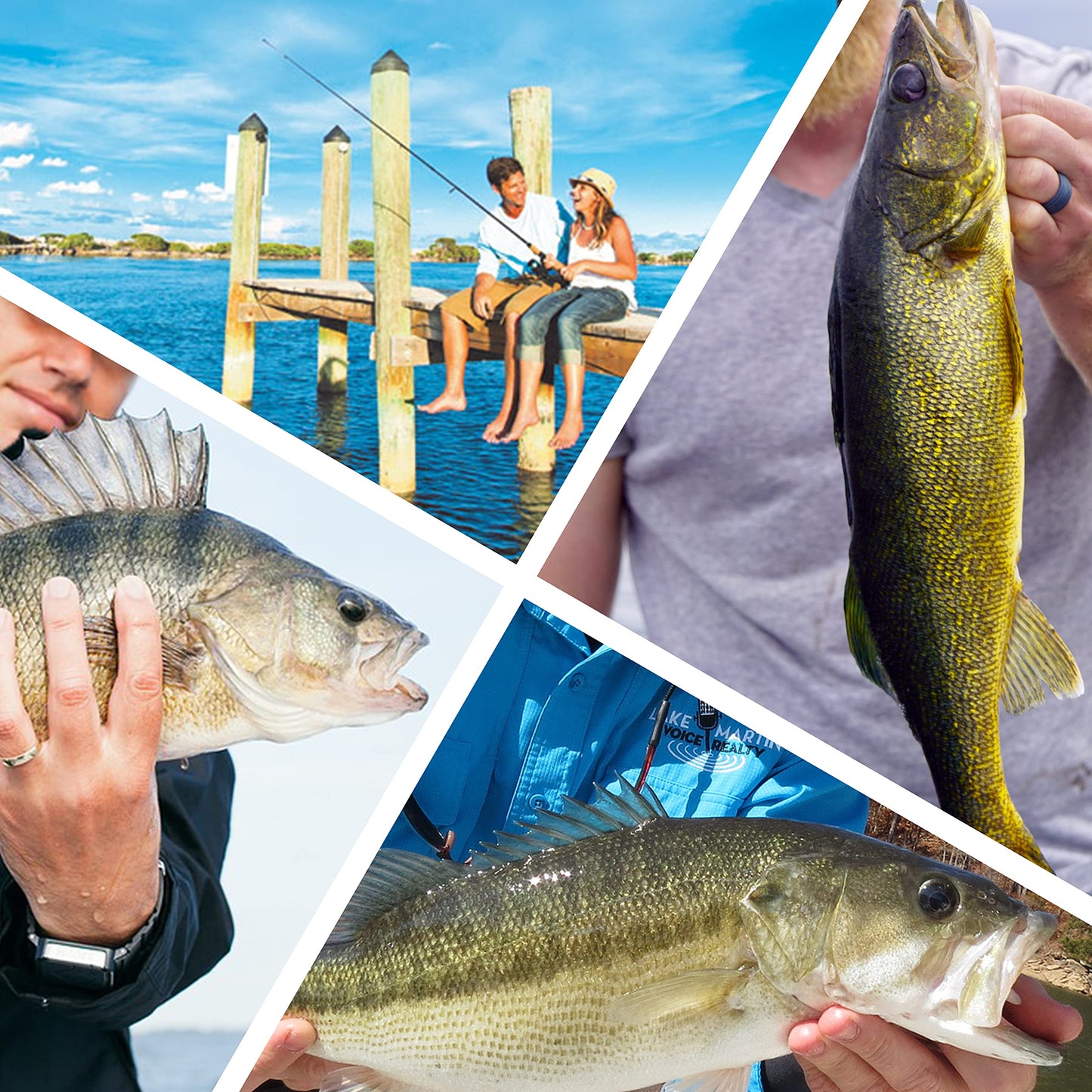 Fishing Wire Leaders, 15pcs Heavy Duty 150LB Stainless Steel Fishing Line Leaders with Swivels and Snaps Nylon-Coated Tooth Proof Saltwater Line Wire Leader Snap Connector 19.7inch