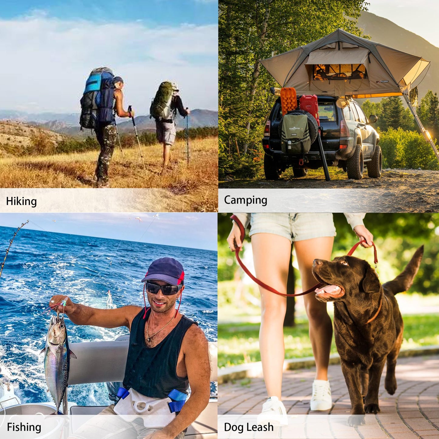 6Pcs Carabiner Clip, 3" Caribeaner Large Aluminum Heavy Duty Carabeaner Clips, Spring Snap Hooks for Keychain Clip with 6 Pcs Keyring for Outdoors, Camping, Hiking, Fishing, Home Gym -Assorted