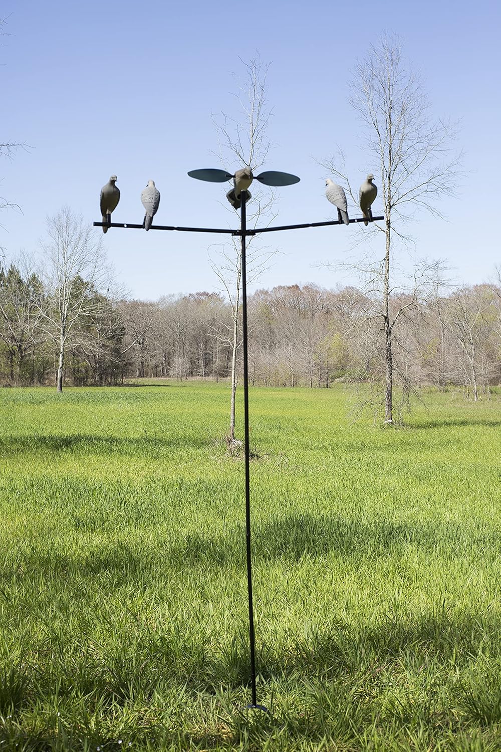MOJO Outdoors Dove Hunting Decoys and Accessories – (Choose Style)