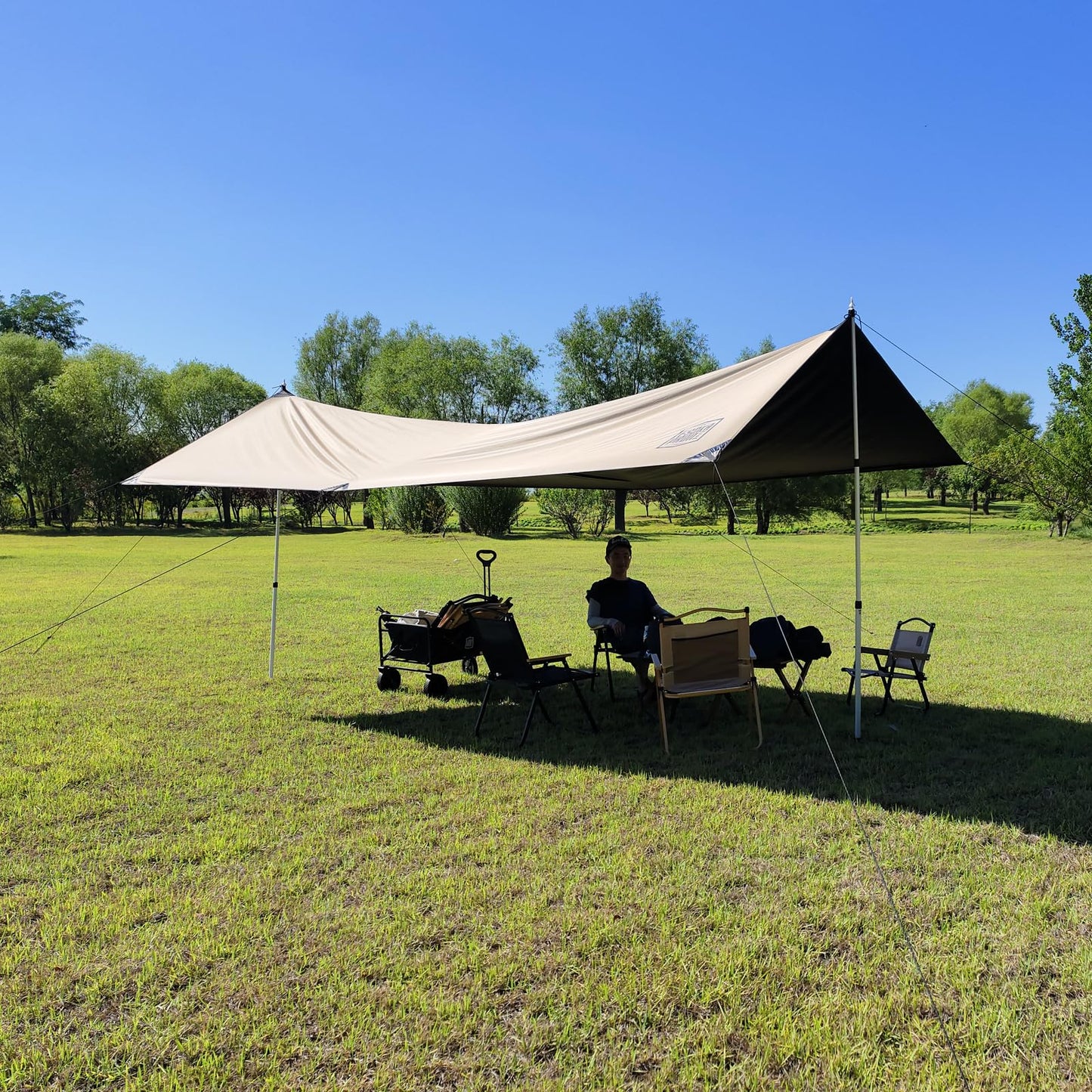 Kaiciuss 98.42'' Aluminum Camping Tarp Poles Adjustable,Telescoping & Portable Tent Poles Replacement (4 Pack), it Comes with 8 Metal Stake, 8 Guy Line Cord with Guyline Adjuster & 1 Storage Bag