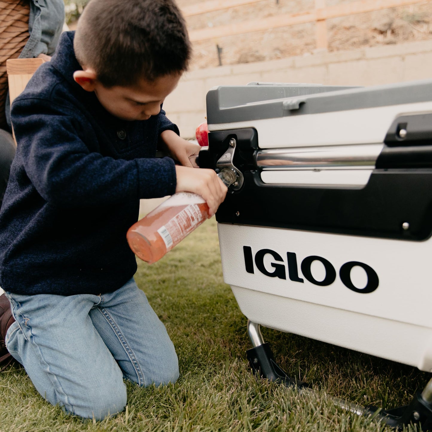 Igloo Trailmate Journey 70 Qt Cooler, Carbonite