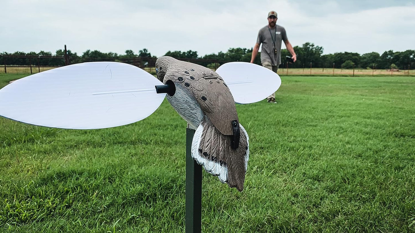 MOJO Outdoors Dove Hunting Decoys and Accessories – (Choose Style)