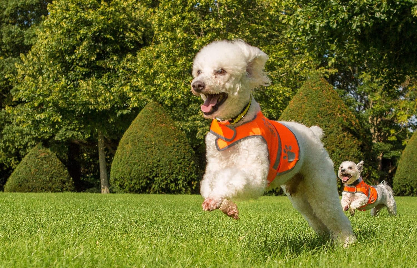 Reflective Dog Vest. Hi-Visibility, Blaze Orange Oxford 300D Waterproof Dog Vest Helps Protect Your Best Friend. Safeguard Your PUP from Motorists & Hunting Accidents, On or Off Leash