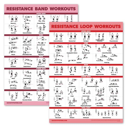 Palace Learning 2 Pack - Resistance Bands and Resistance Loops Workout Posters - Set of 2 Laminated Charts - Resistance Band Tubes and Loops Exercise Charts [Light] (18 x 24, LAMINATED)