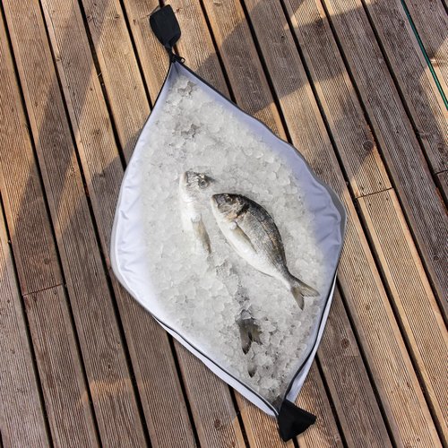 Goture Insulated Fish Cooler Bag, Leakproof Fish Kill Bag, Waterproof Fish Bag with Carry Handle and Strap, Portable Large Fishing Cooler Bag with Drain Plug, Keep Ice Cold All Day, 40inx16.5in