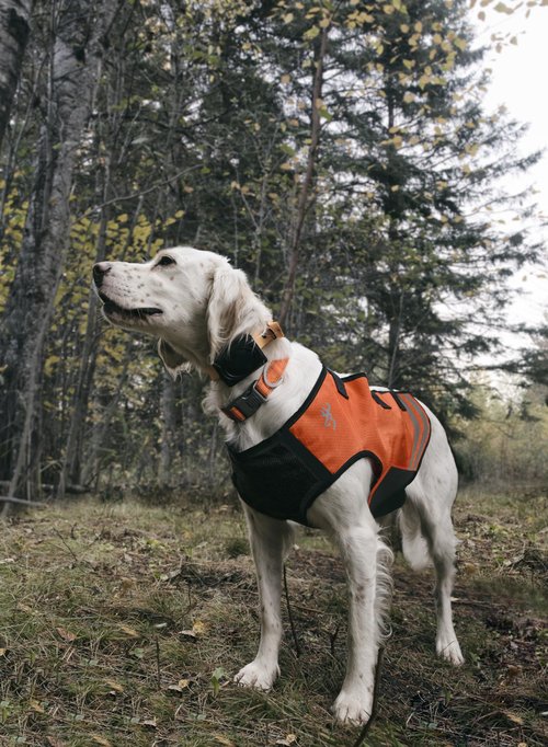 Browning Pet Vests, Hi Vis Safety Vests for Dogs, Saftey Orange, Medium, Full Coverage