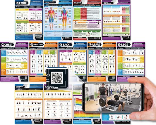 Workout Posters for Home Gym | Muscle Group Gym Poster | Exercise Posters | Laminated Gym or Home Workout Chart | Free Video Training Support | Large Size 33" X 23.5" | Set of 13