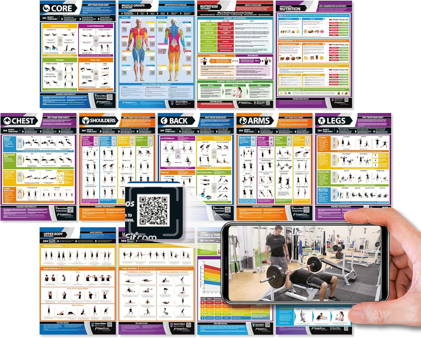 Workout Posters for Home Gym | Muscle Group Gym Poster | Exercise Posters | Laminated Gym or Home Workout Chart | Free Video Training Support | Large Size 33" X 23.5" | Set of 13