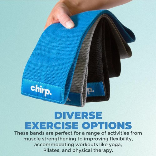 Chirp Premium Quality Resistance Bands - Versatile, Strength, Flexibility, and Physical Therapy, Durable Exercise, Gym, Workout Bands for Men and Women - 3 Levels of Resistance, 31.5 Inches.