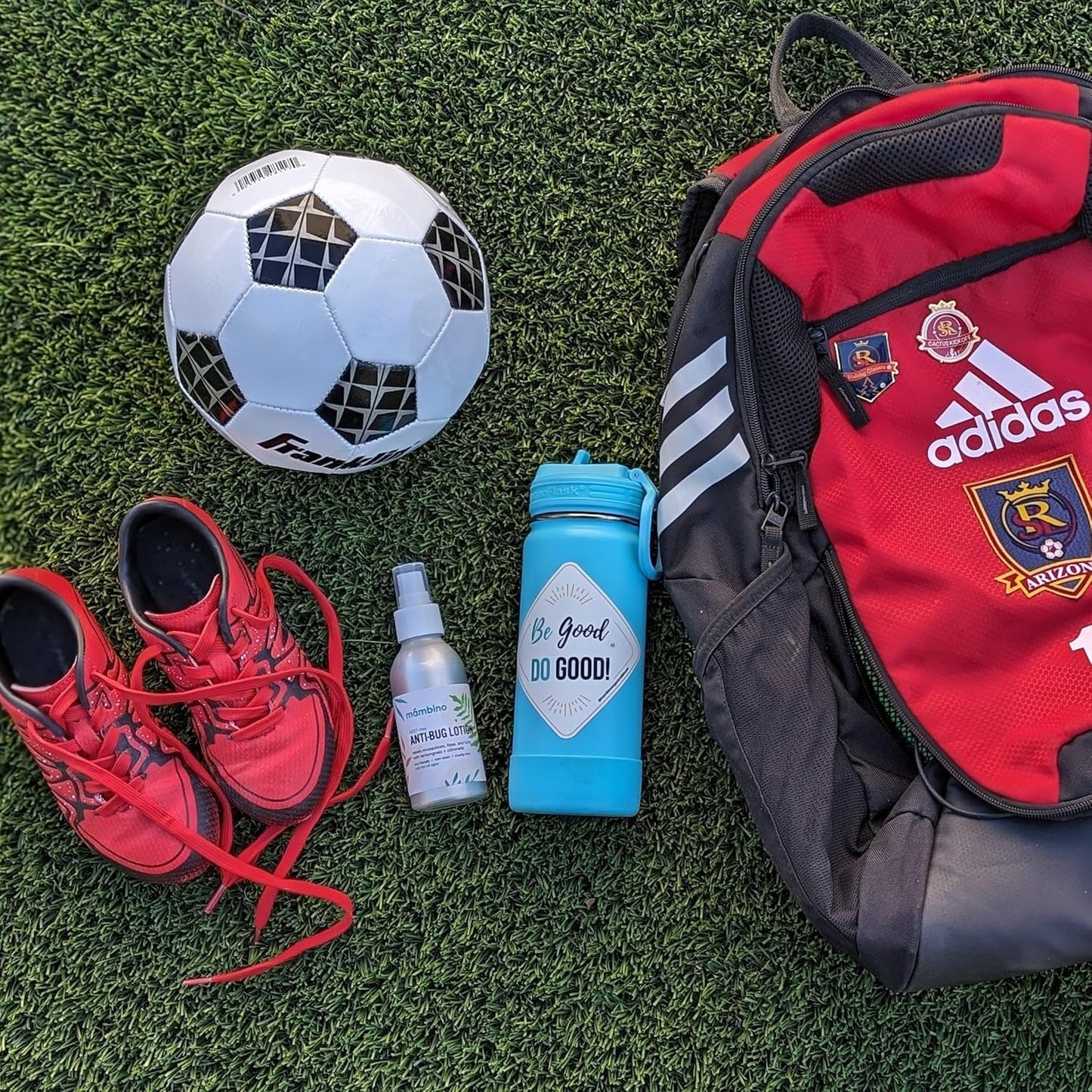 Anti-Bug Spray DEET-Free – Organic, All-Natural Bug Spray Travel Size with Essential Oils – Non-Toxic, Reef Safe, Face-Safe Bug Repellent for Babies, Kids, Adults by Mambino Organics, 4oz