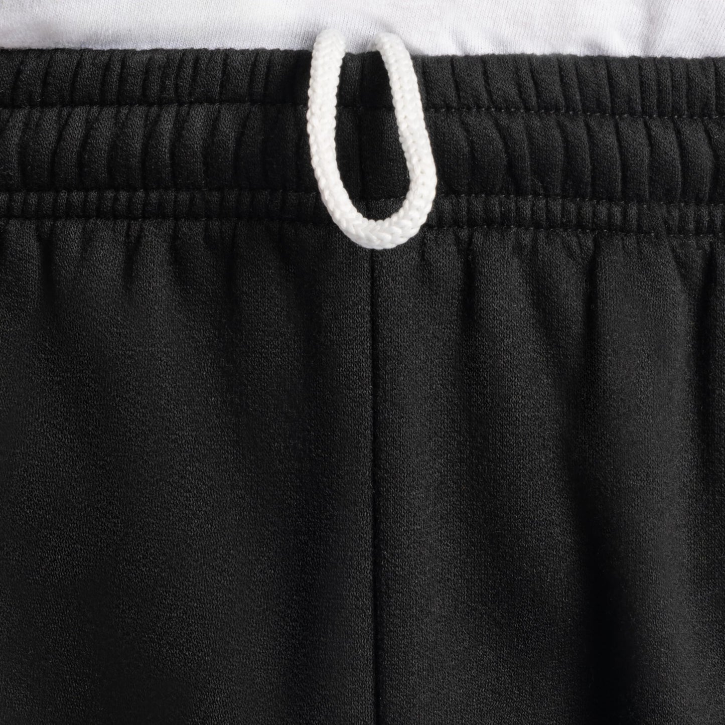 Fruit of the Loom mens Eversoft Fleece & Joggers (Regular Big Man) Sweatpants, Elastic Bottom - Black, Medium US
