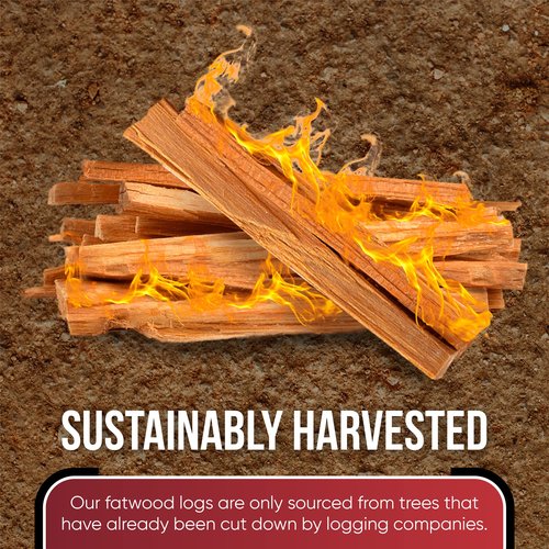 Vivlly Fatwood Fire Starter Pack – Starter Wood for Fireplace – Small Wood Logs for Campfire Stove, Grilling & Cooking – Firewood Lighter Kindling Sticks – Firepit Burning (10 lb)