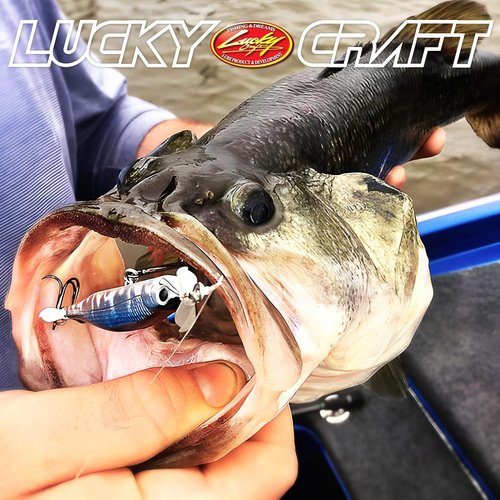 LUCKY CRAFT Screw Pointer 80 Jerkbait - Sinking Fishing Lure for Bass & Walleye