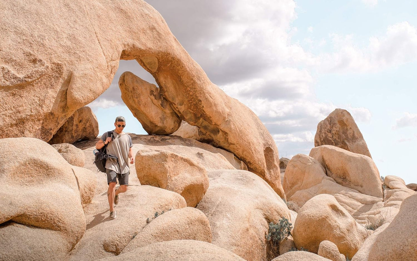 ALPS Mountaineering Tour 40L Day Backpack