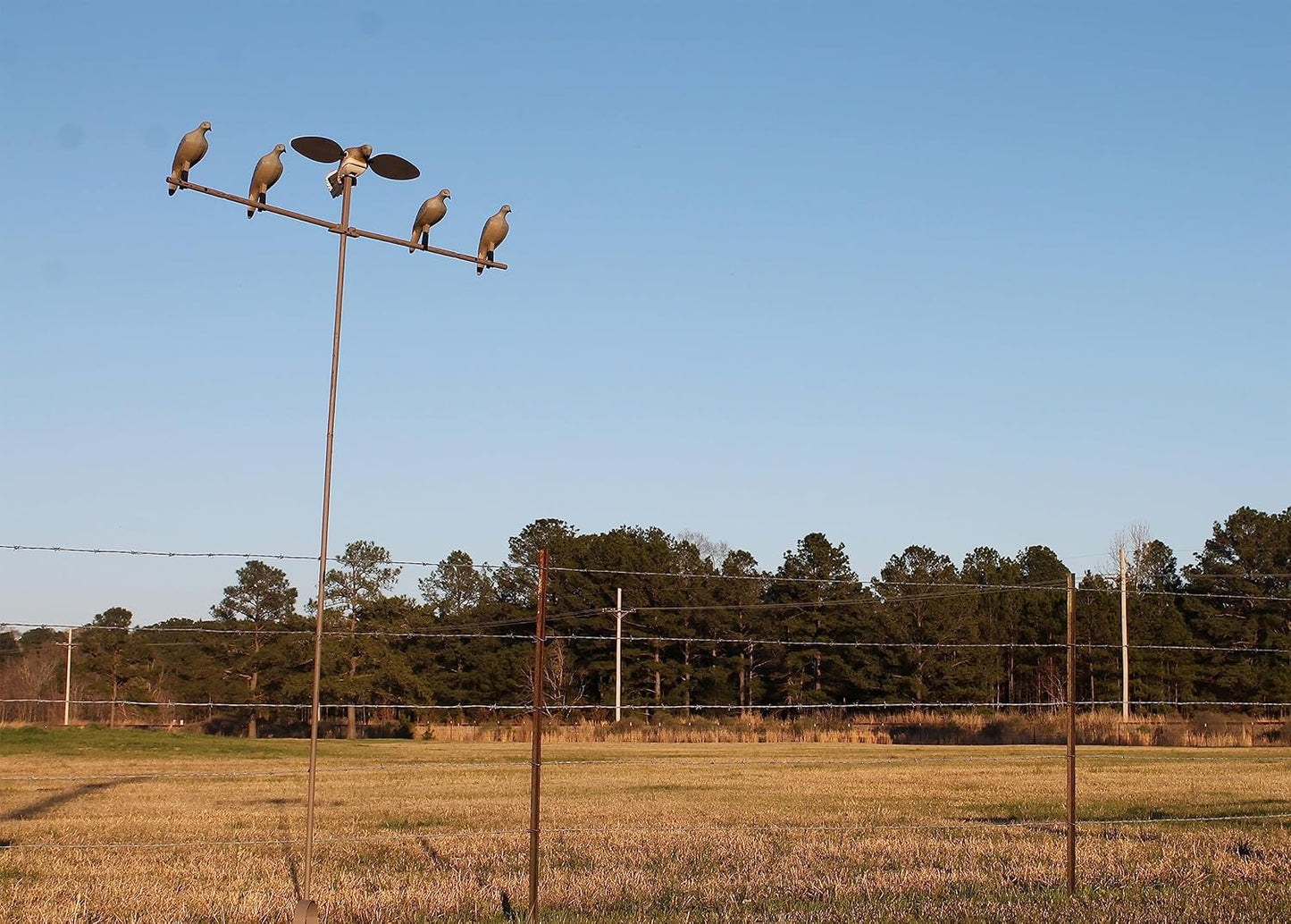MOJO Outdoors Dove Hunting Decoys and Accessories – (Choose Style)