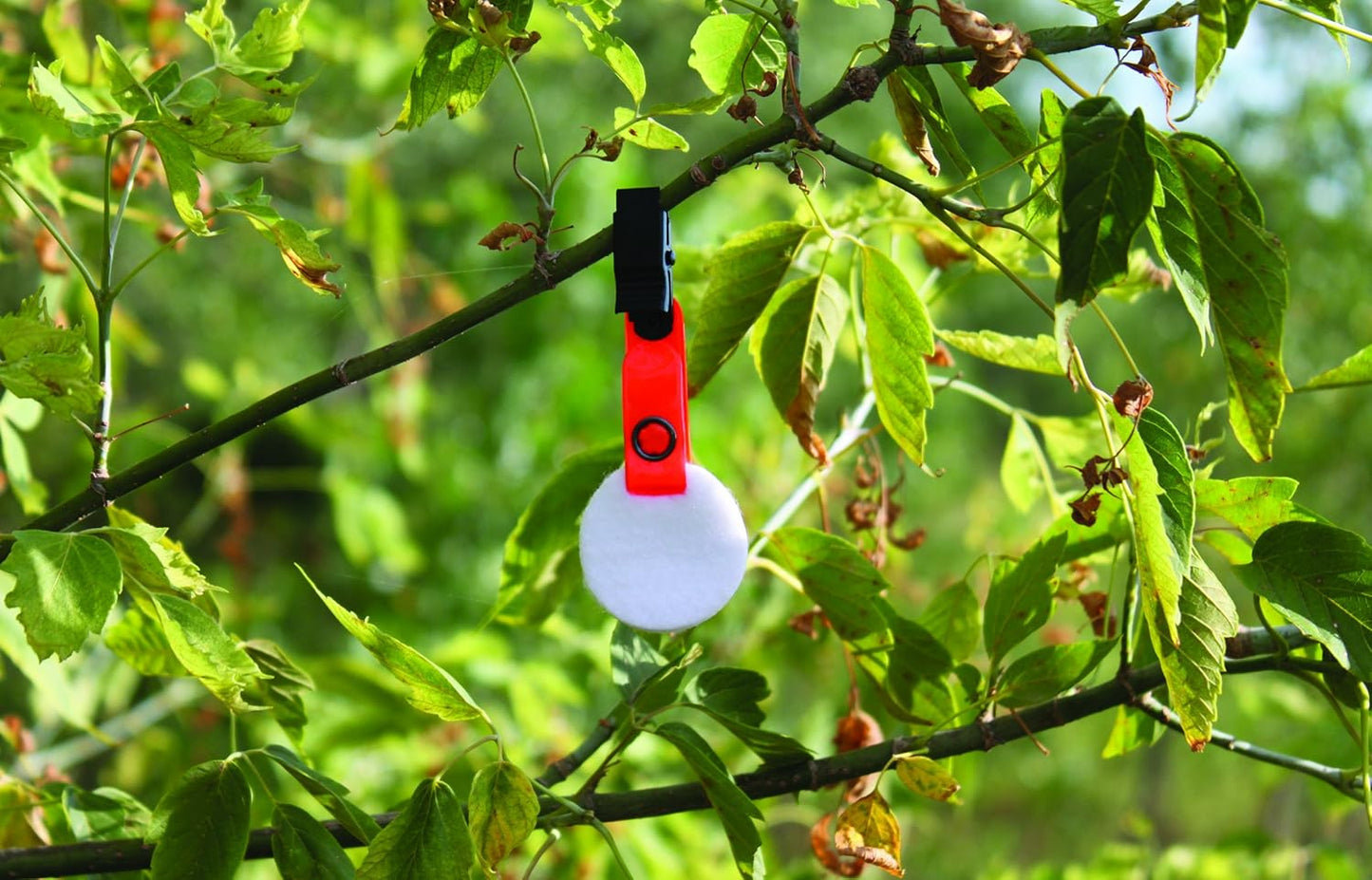 Clip-On Scent Discs