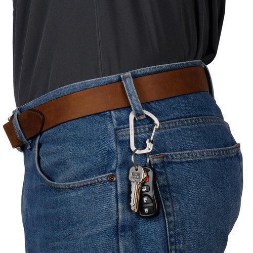 Nite Ize SlideLock Carabiner Stainless Steel - Key Holder Carabiner for Daily Use - Secure Keychain Organizer with Lock - Lockable Carabiner Fits Multiple Keys - Size 3, Stainless Steel (4 Pack)