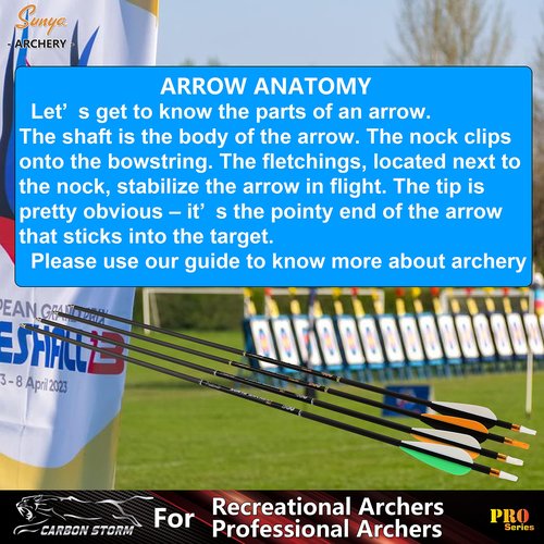 SUNYA Archery Compound Bow Arrows 12pcs Set. 30" Carbon Shaft, Spine 400 or 500 with Removable Tips (Black White-Spine 400, Spine 400-30Inch)