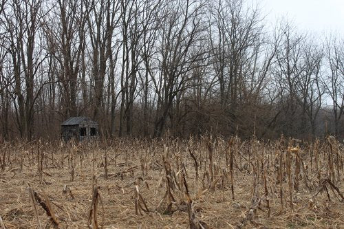 Deluxe 5'x5' 2-3 Person Hunting Blind 360 Degree See Through Fabric, Heavy Duty Metal Frame Deer Hunting Blinds