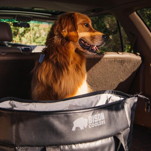 Bison Coolers Softpak Series, Made in USA, Soft Cooler Bag Insulated Leak Proof for Beach, Travel, Camping, Picnic, Car, Trips, 24+ Hour Ice Retention