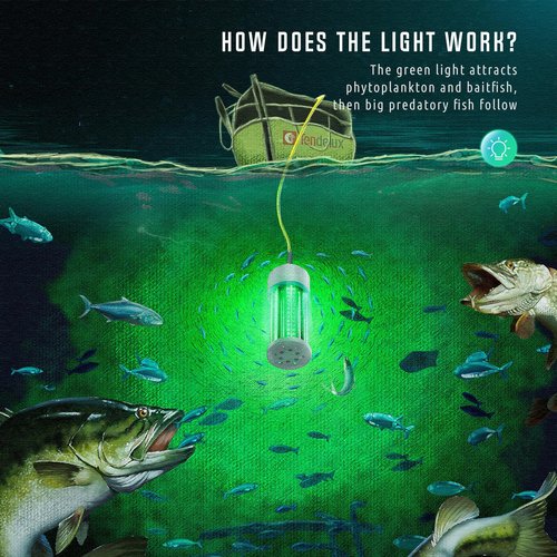 Tendelux Underwater Fishing Light with Controller (Dimmer & Timer), 110V & 12V Super Bright Green LED Submersible Light Attractants for Docks, Boats or Kayaks, IP68 Rated for Fresh & Salt Water