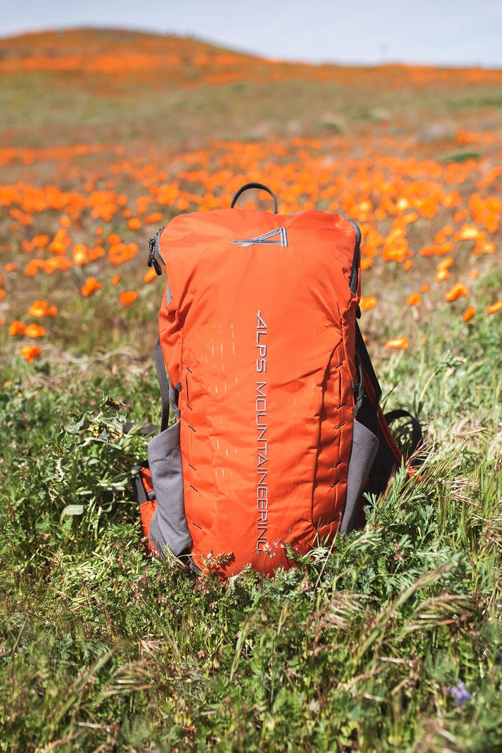 ALPS Mountaineering Chili/Gray, 20 Liters