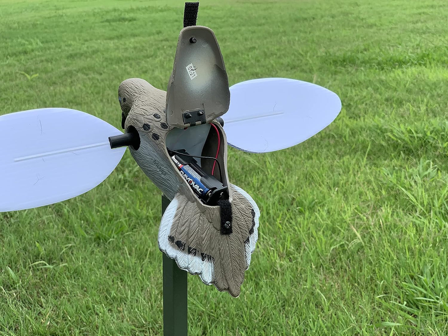 MOJO Outdoors Dove Hunting Decoys and Accessories – (Choose Style)