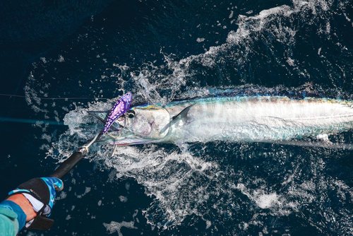 Madmacs 200mm High Speed Sinking 8" Trolling Lure for Bluefin Tuna Yellowfin Wahoo and Mahi Mahi, Hot Pink